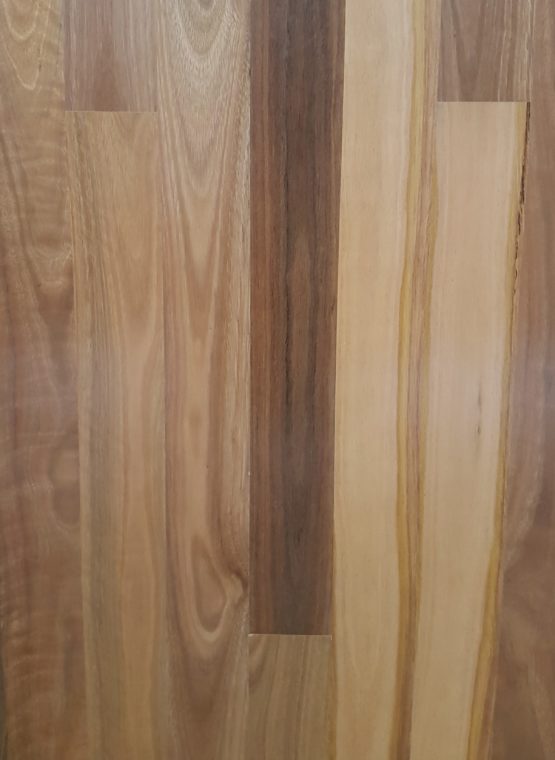 Spotted Gum Engineered Timber Flooring by Flooring World