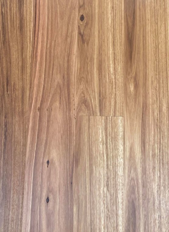 Select-Blackbutt-Brushed-Matt-Engineered-Timber-by-Flooring